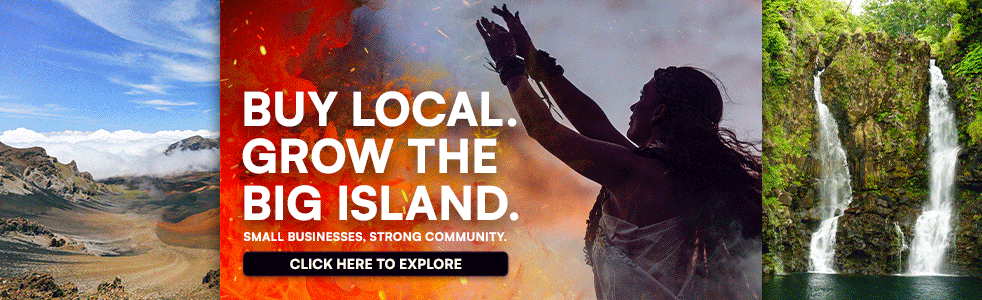 Hilo Local Business Guide